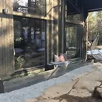 Enjoy Simple Life In Nature